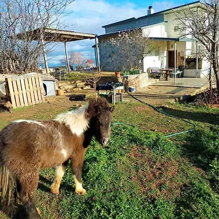 Batzanemi And Farm * Throfarion